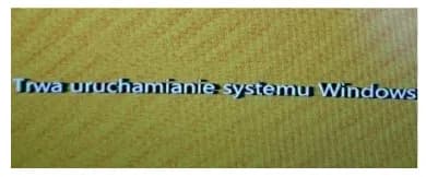 Zdjęcie do pytania #19